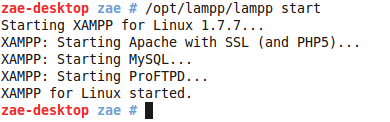 XAMPP - Sukses Menjlankan Apache MySQL ProFTPD
